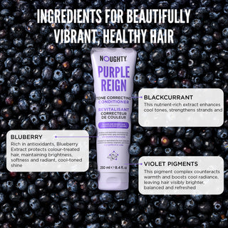 Purple Reign Conditioner - 250ml